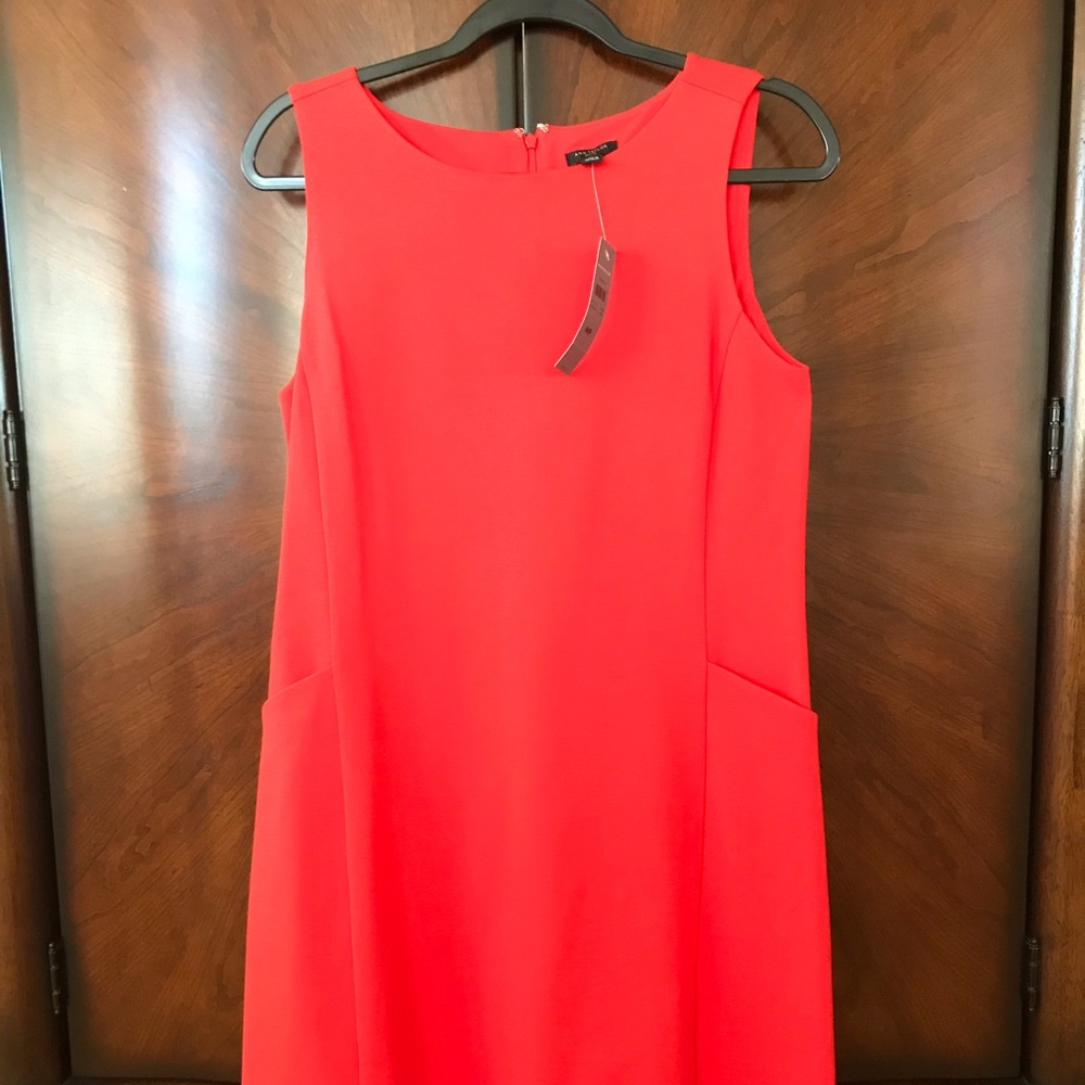 NWT Ann Taylor knit dress